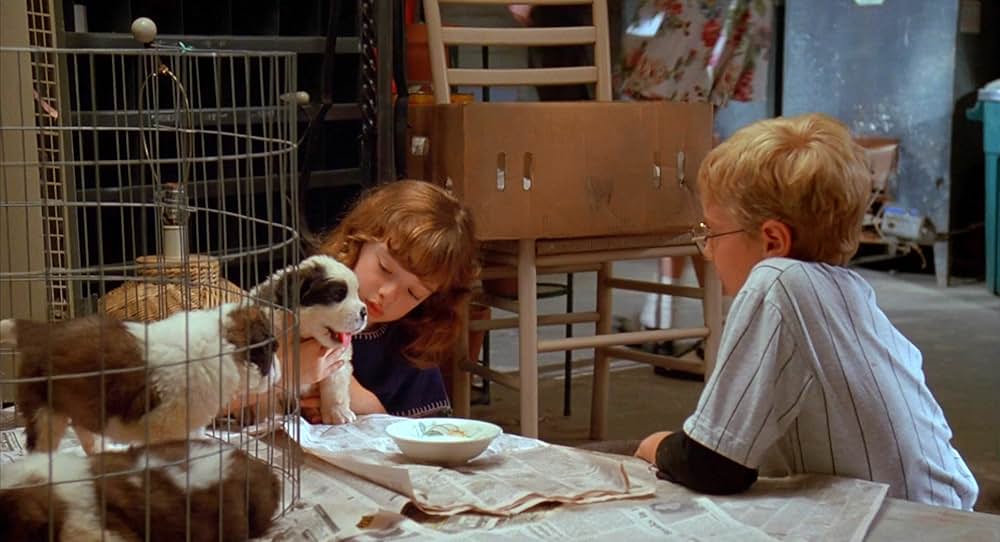 ベートーベン2の画像