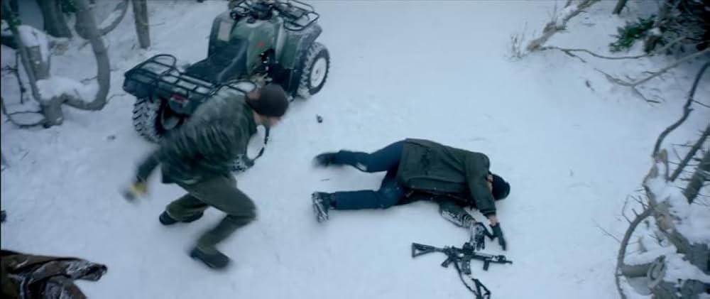 ワイルド・ブレイブの画像