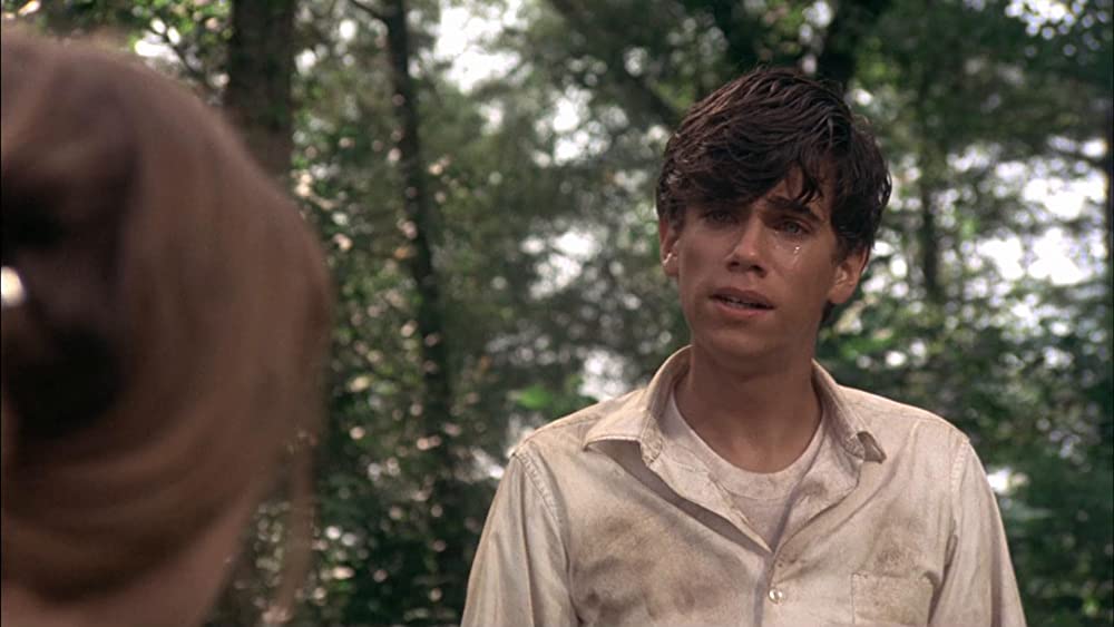 ビリー・ジョー 愛のかけ橋の画像