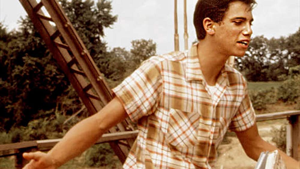 ビリー・ジョー 愛のかけ橋の画像