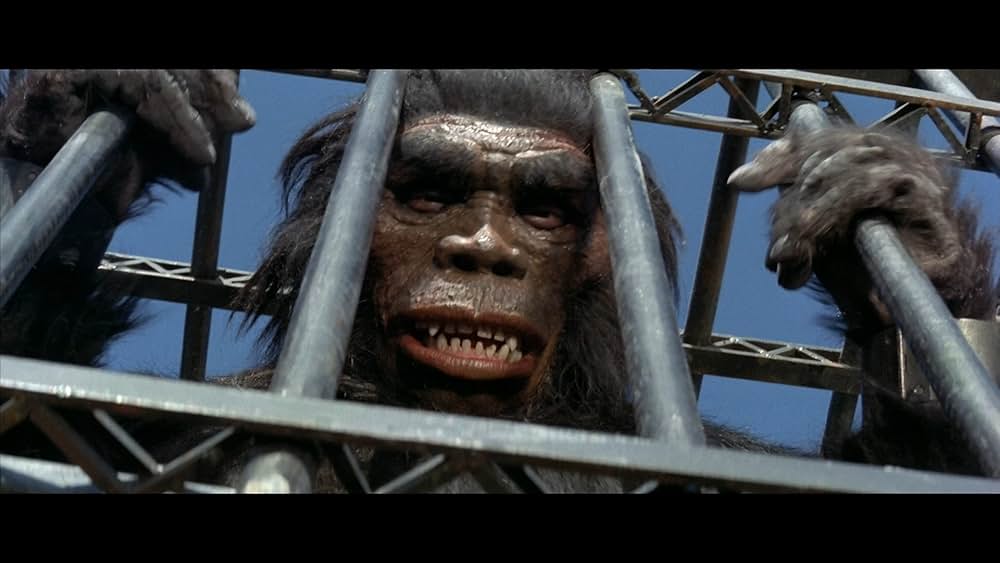 北京原人の逆襲の画像