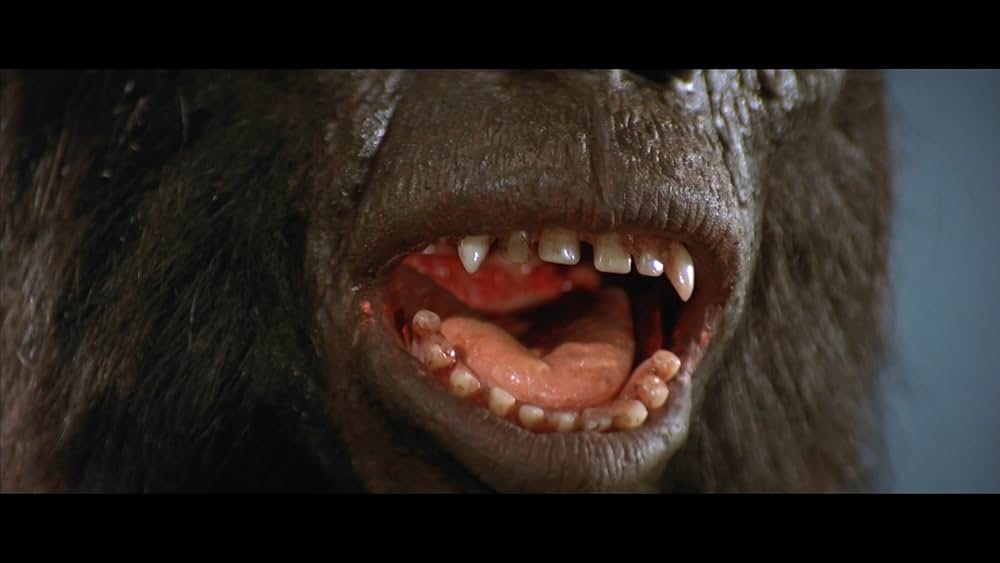 北京原人の逆襲の画像