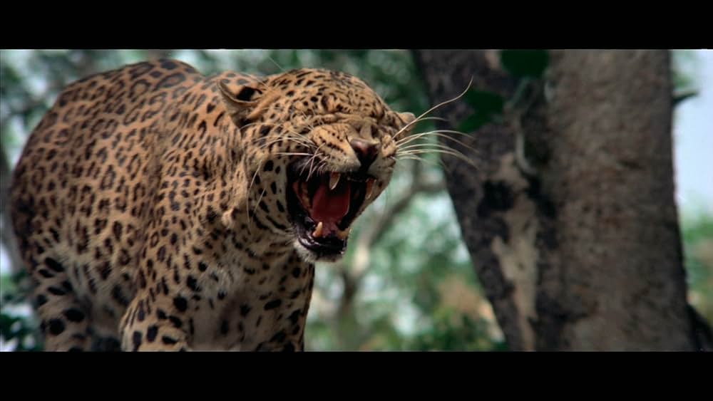 北京原人の逆襲の画像