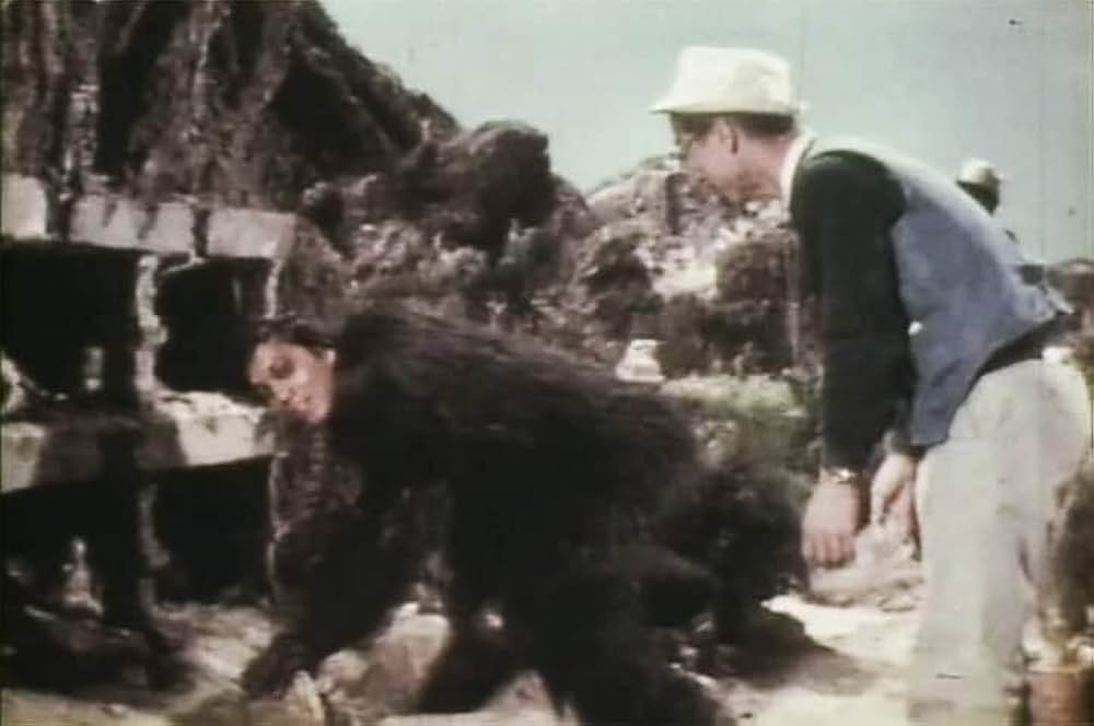 北京原人の逆襲の画像