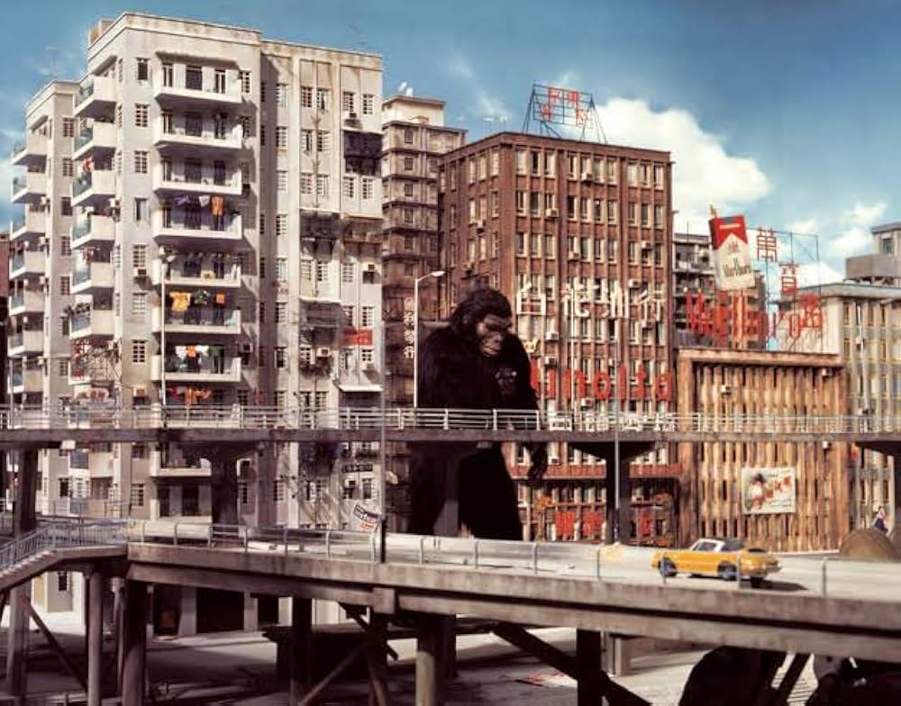 北京原人の逆襲の画像