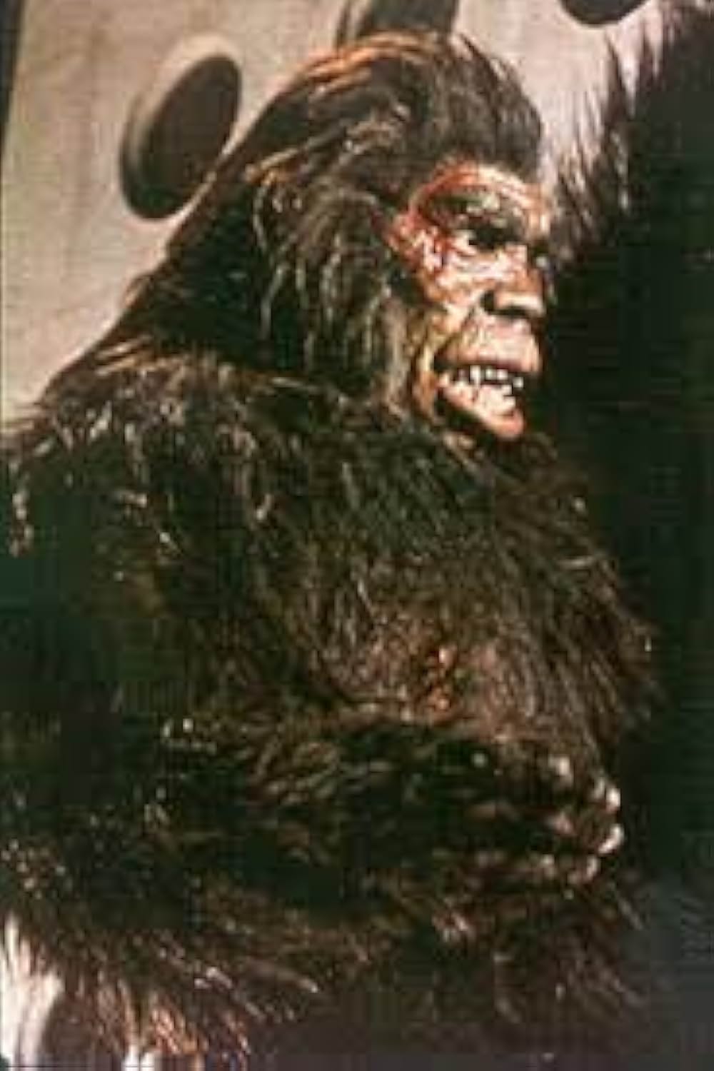 北京原人の逆襲の画像