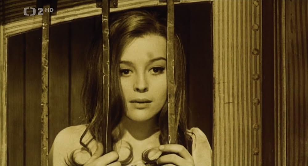 彗星に乗っての画像