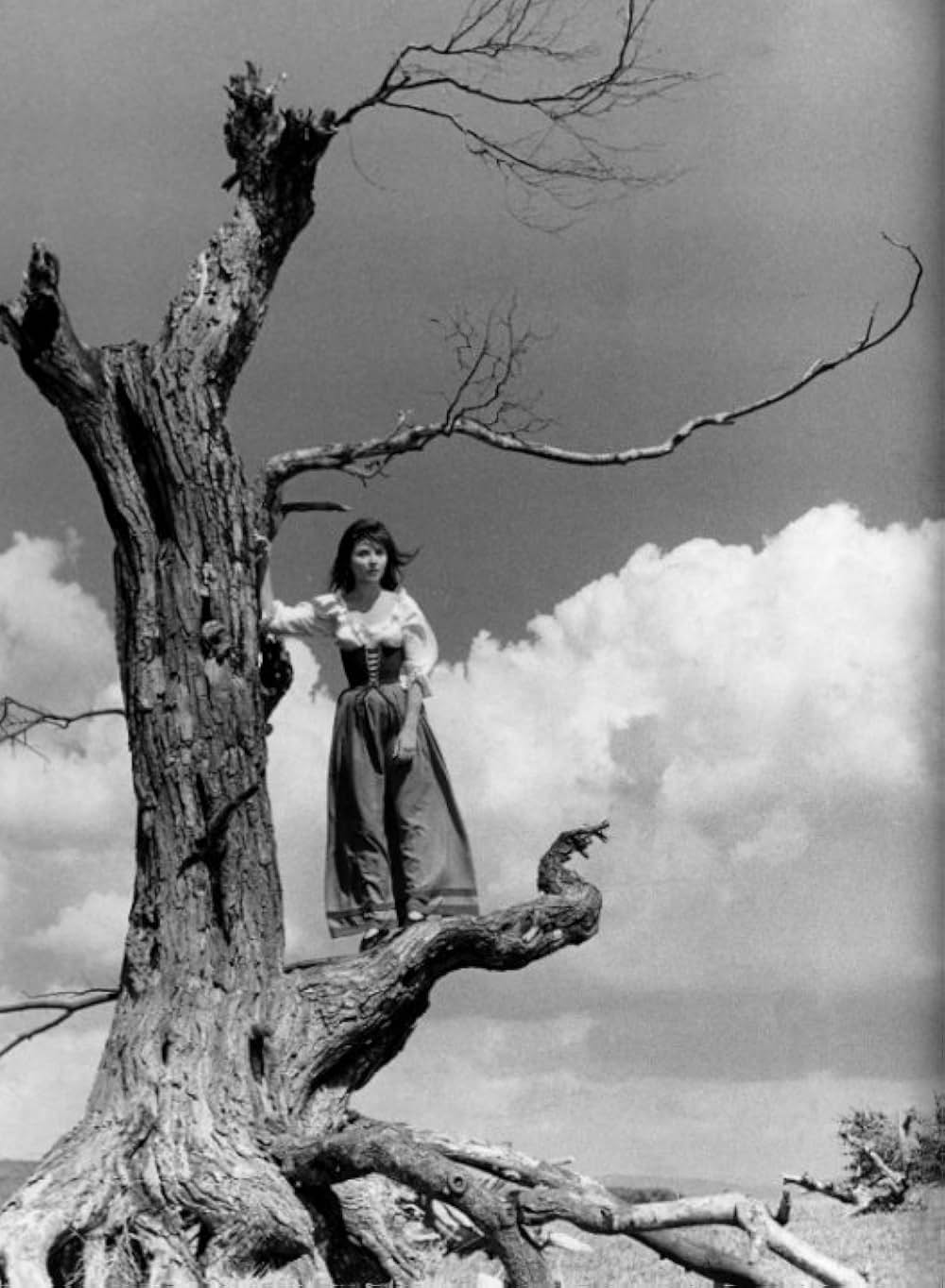 狂気のクロニクルの画像