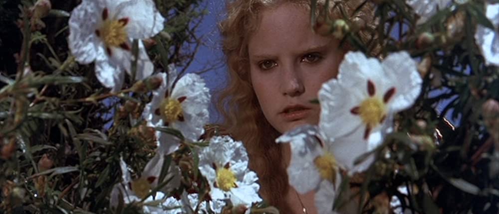 グレート・ウォリアーズ／欲望の剣の画像