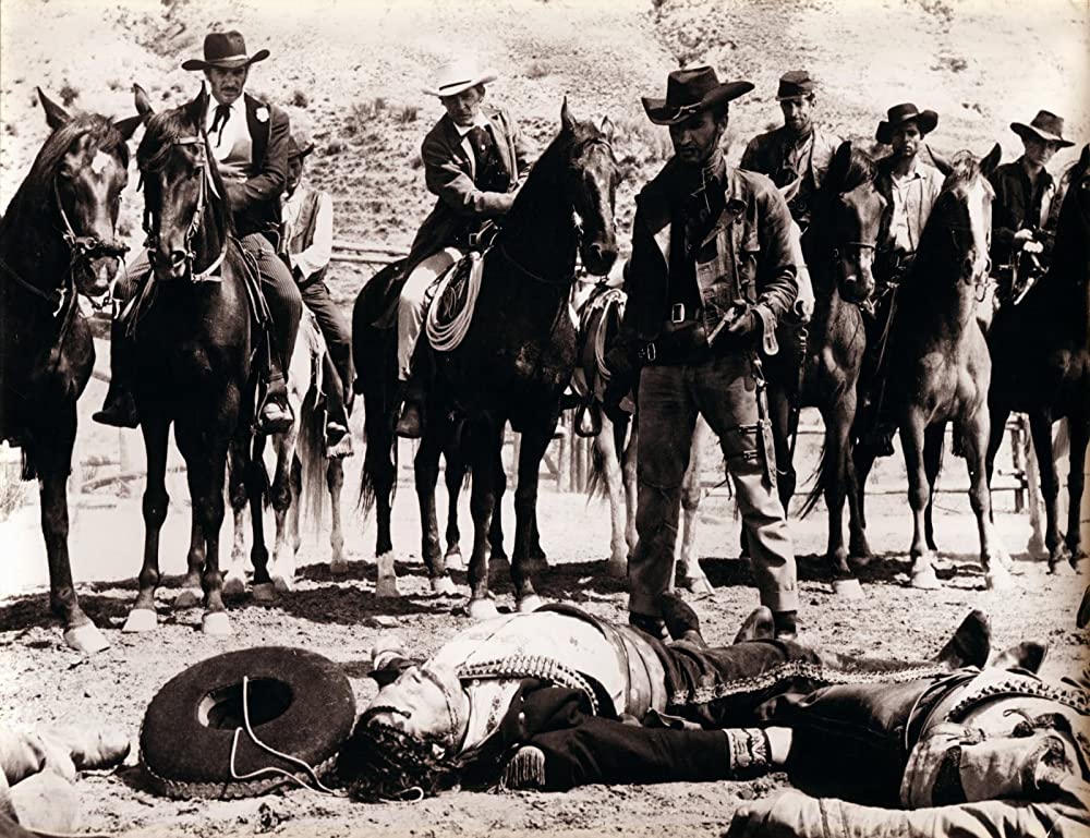 ミネソタ無頼の画像