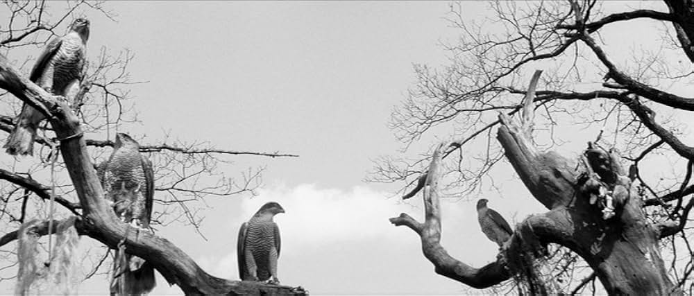 マルケータ・ラザロヴァーの画像