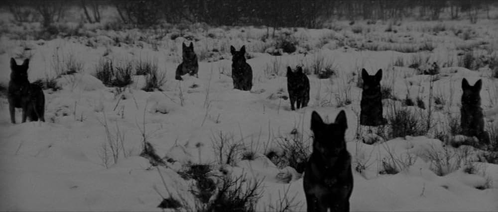 マルケータ・ラザロヴァーの画像