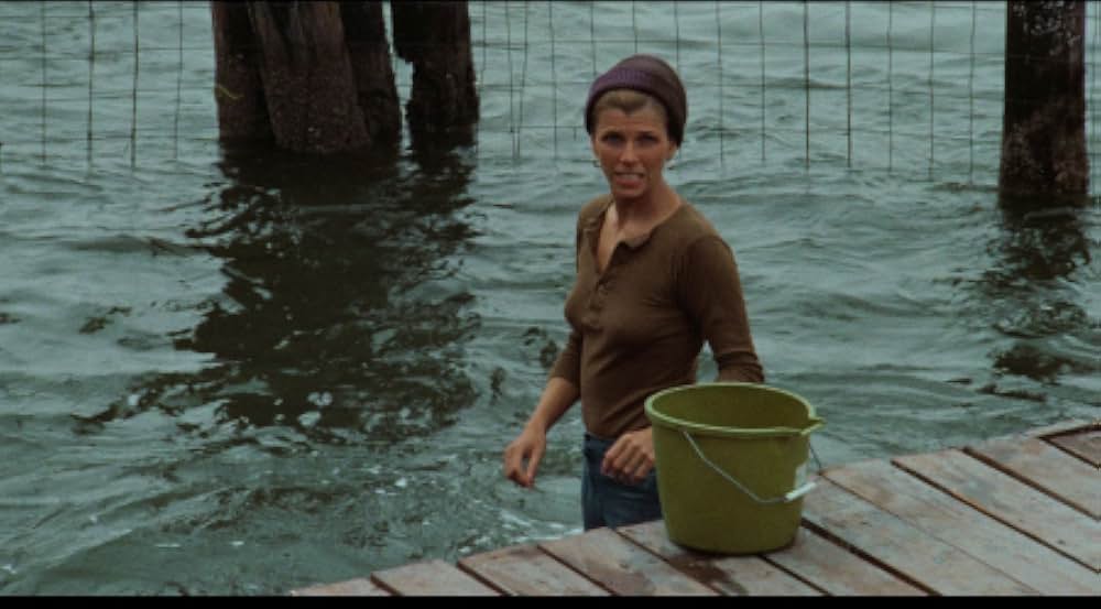 ナイトムーブスの画像