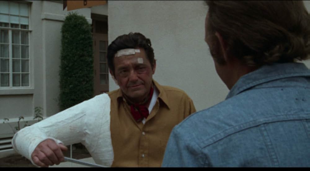 ナイトムーブスの画像