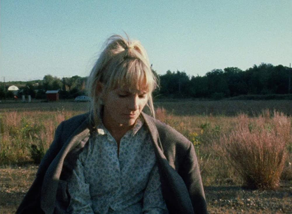 WANDA／ワンダの画像