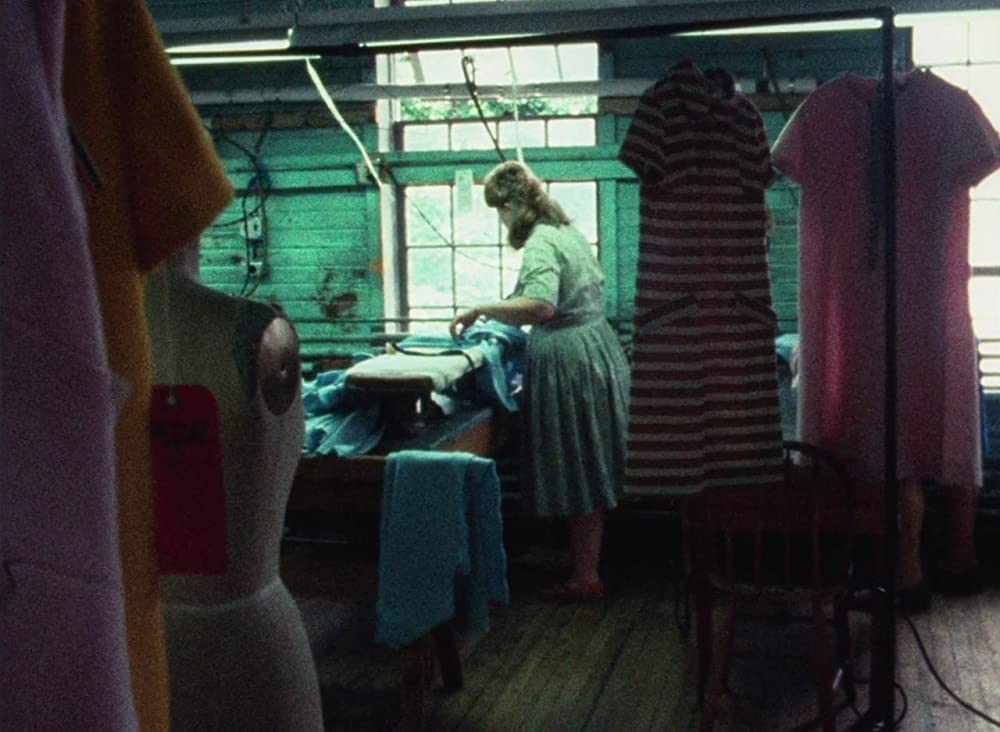 WANDA／ワンダの画像