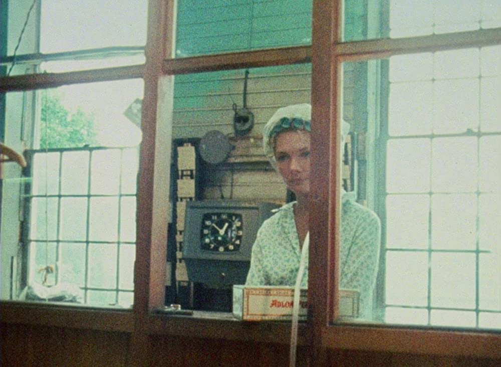 WANDA／ワンダの画像