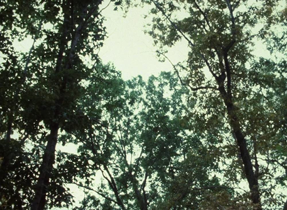 WANDA／ワンダの画像