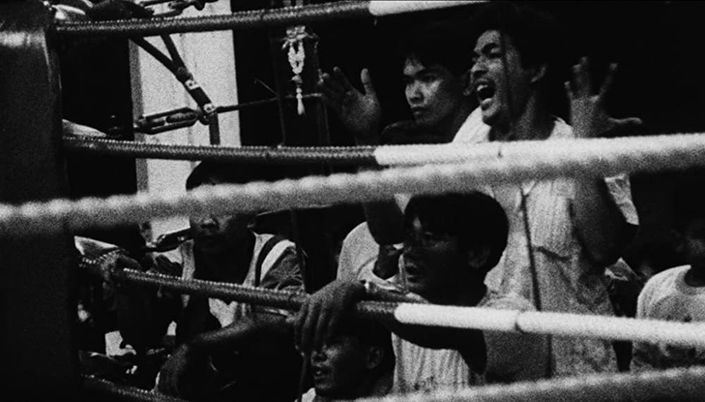 真昼の不思議な物体の画像