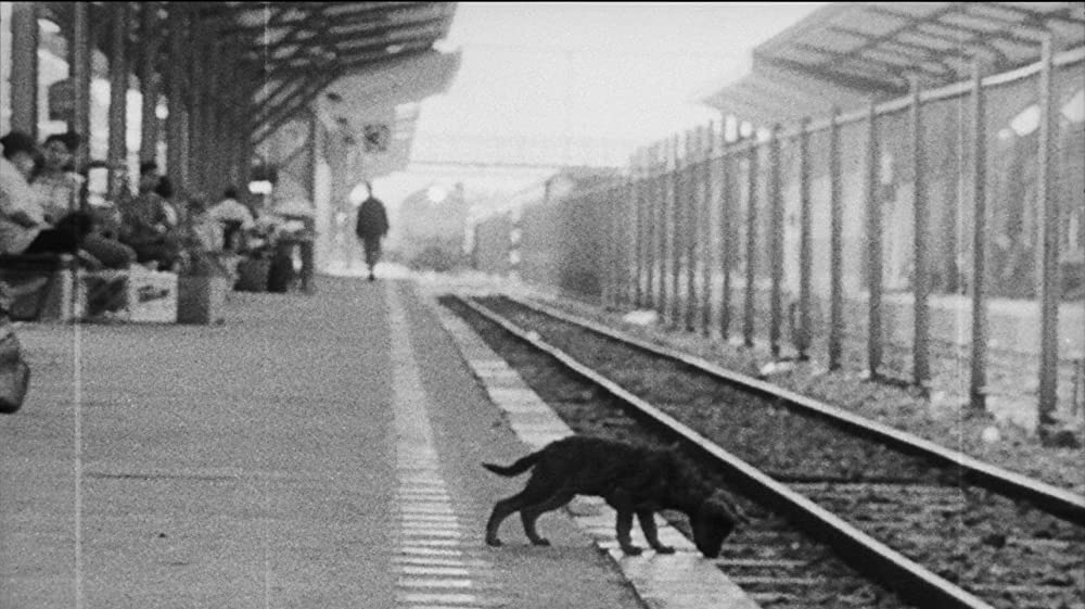 真昼の不思議な物体の画像