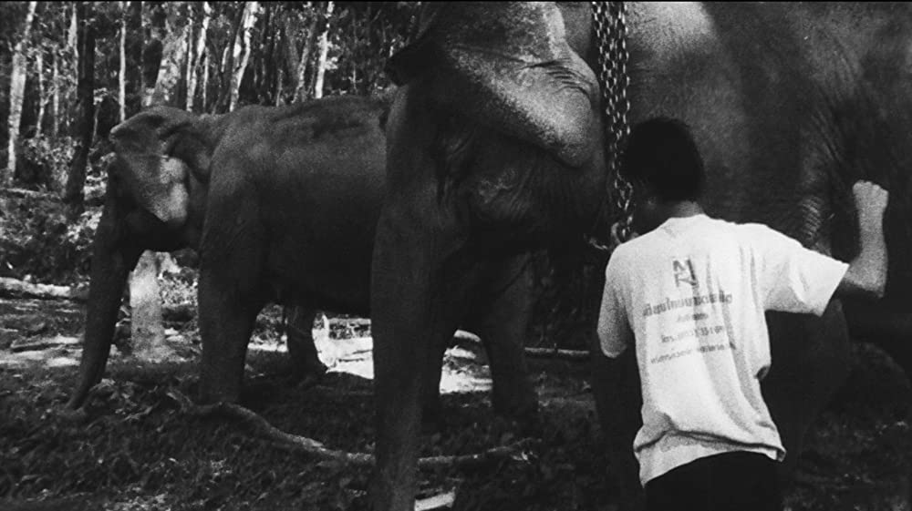 真昼の不思議な物体の画像