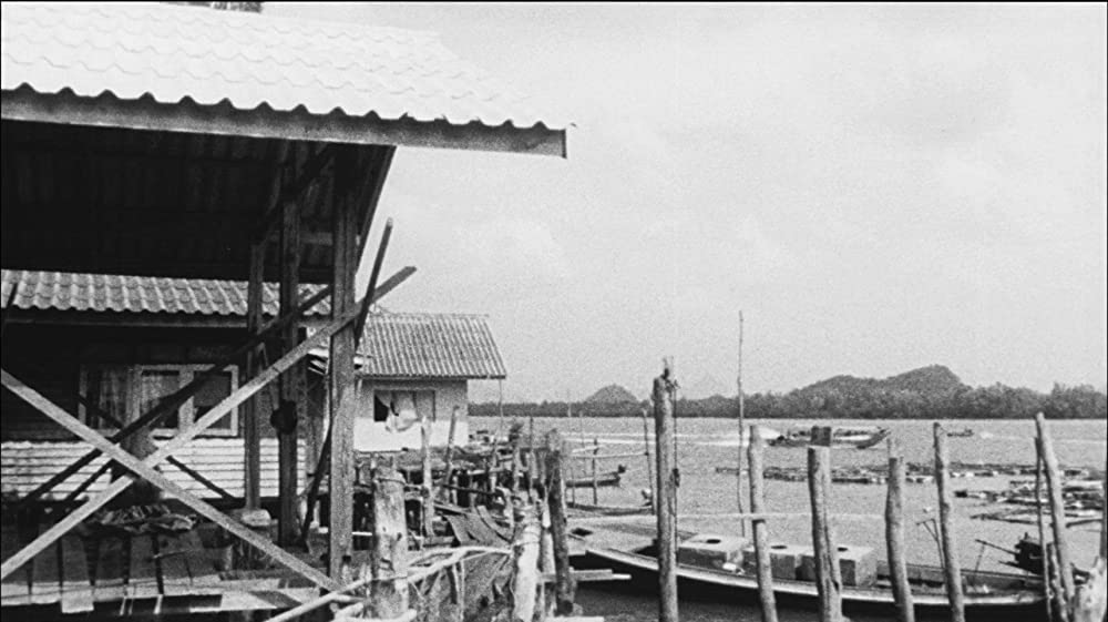 真昼の不思議な物体の画像