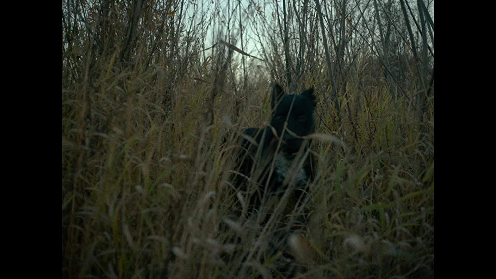 ファースト・カウの画像