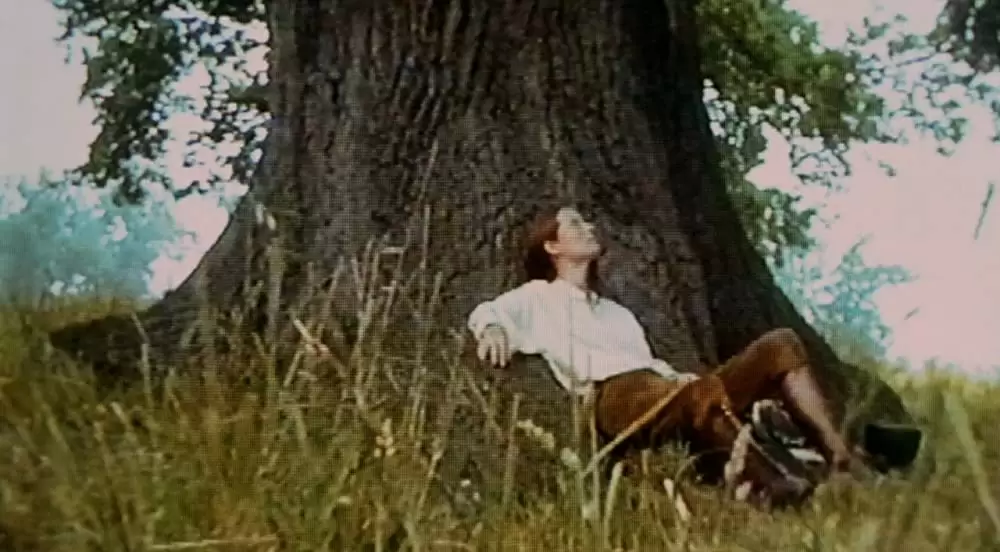 「オルランド」ティルダ・スウィントンの画像