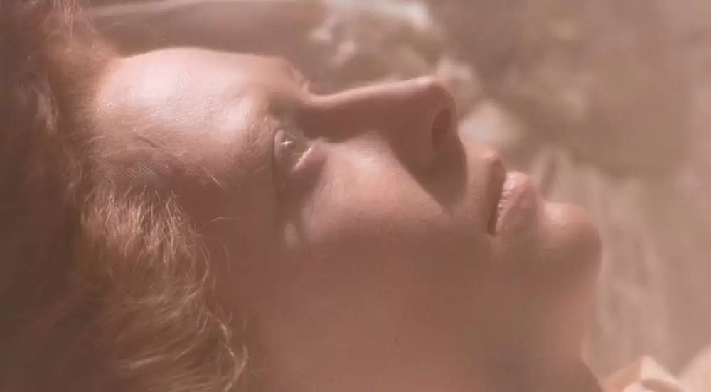 「オルランド」ティルダ・スウィントンの画像