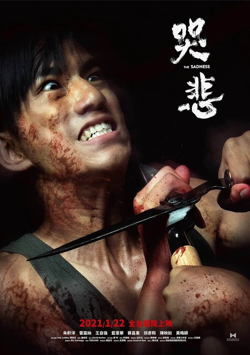 哭悲／The Sadnessの画像