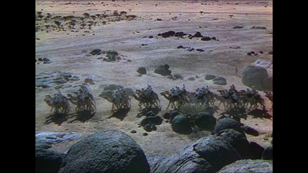 四枚の羽根の画像