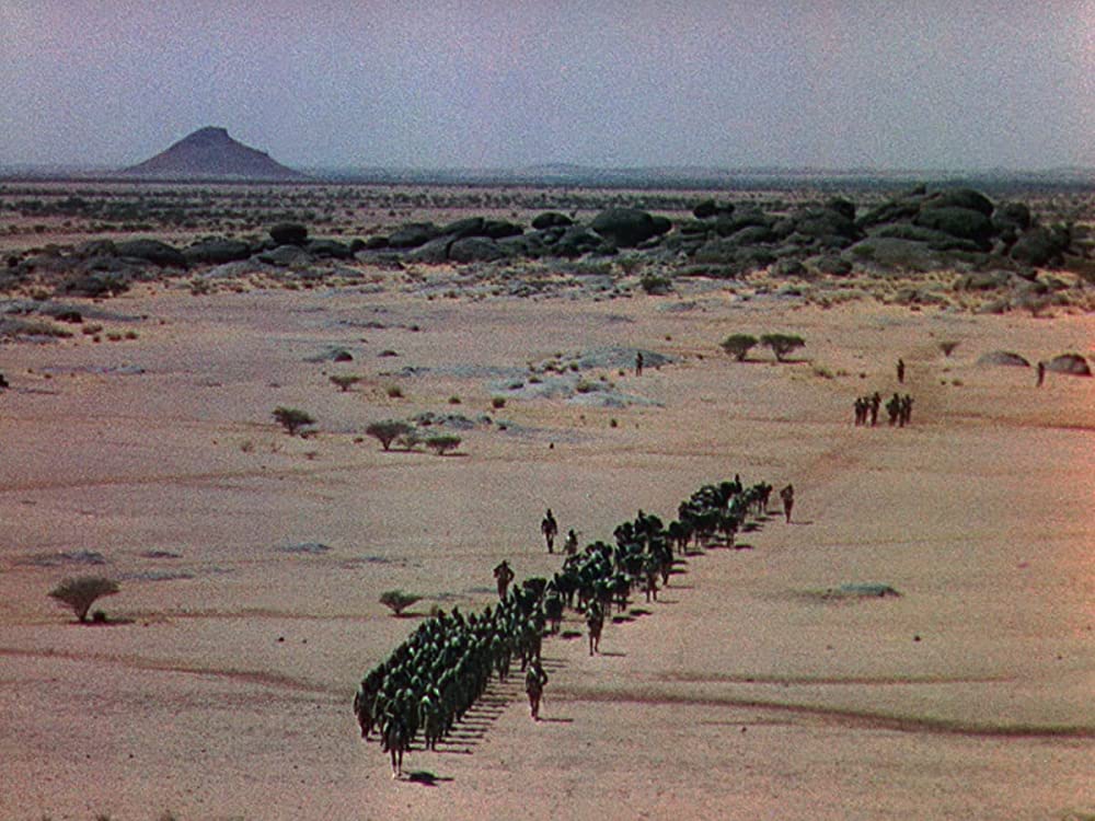 四枚の羽根の画像