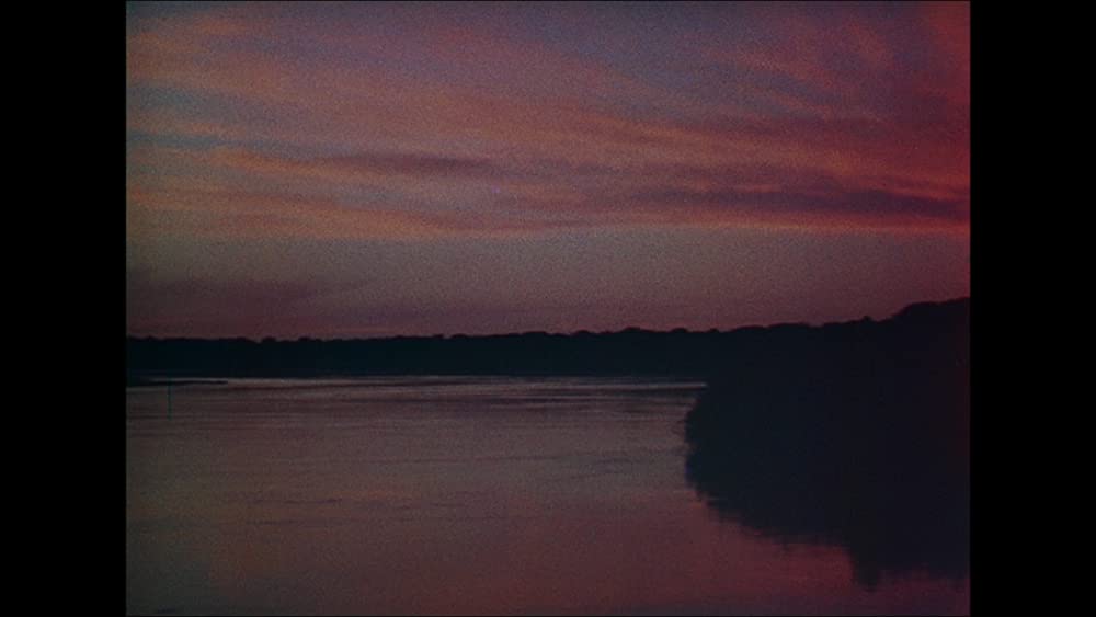 四枚の羽根の画像