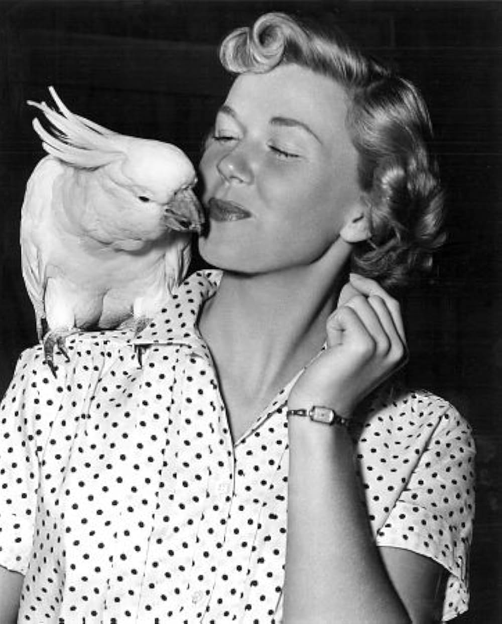 情熱の狂想曲（ラプソディ）の画像