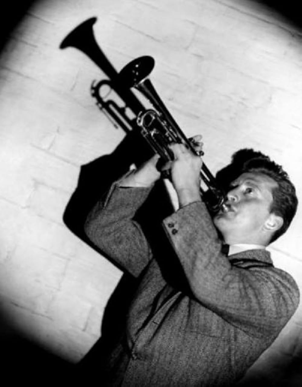 情熱の狂想曲（ラプソディ）の画像