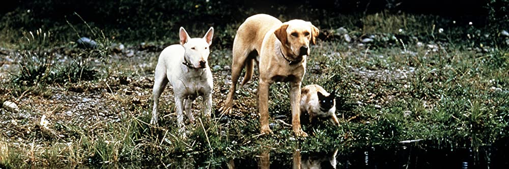 三匹荒野を行くの画像