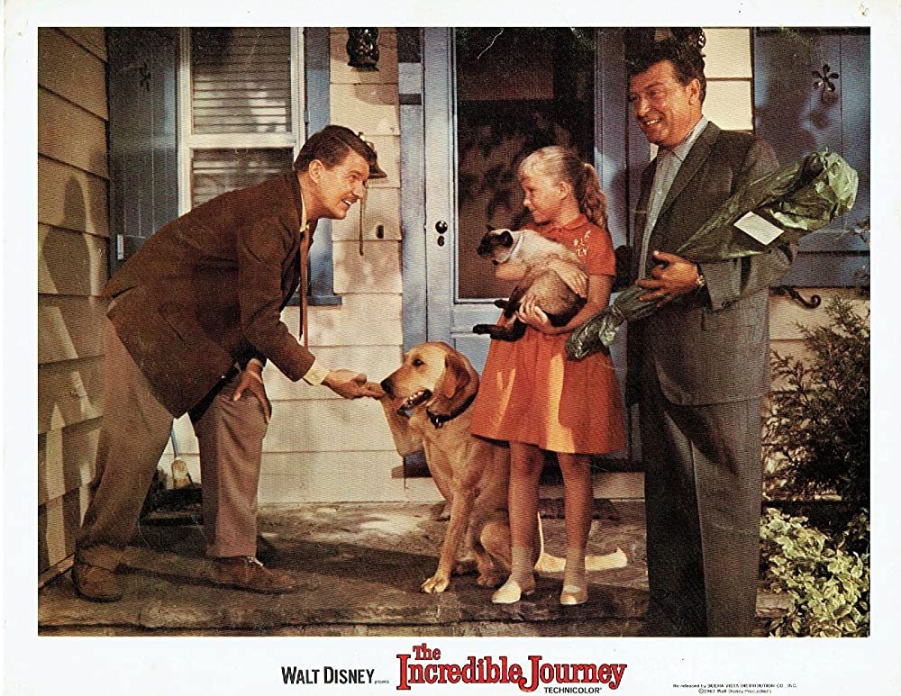 三匹荒野を行くの画像