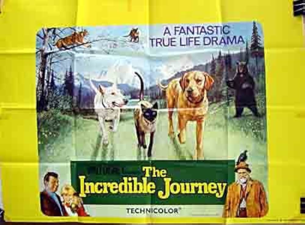 三匹荒野を行くの画像