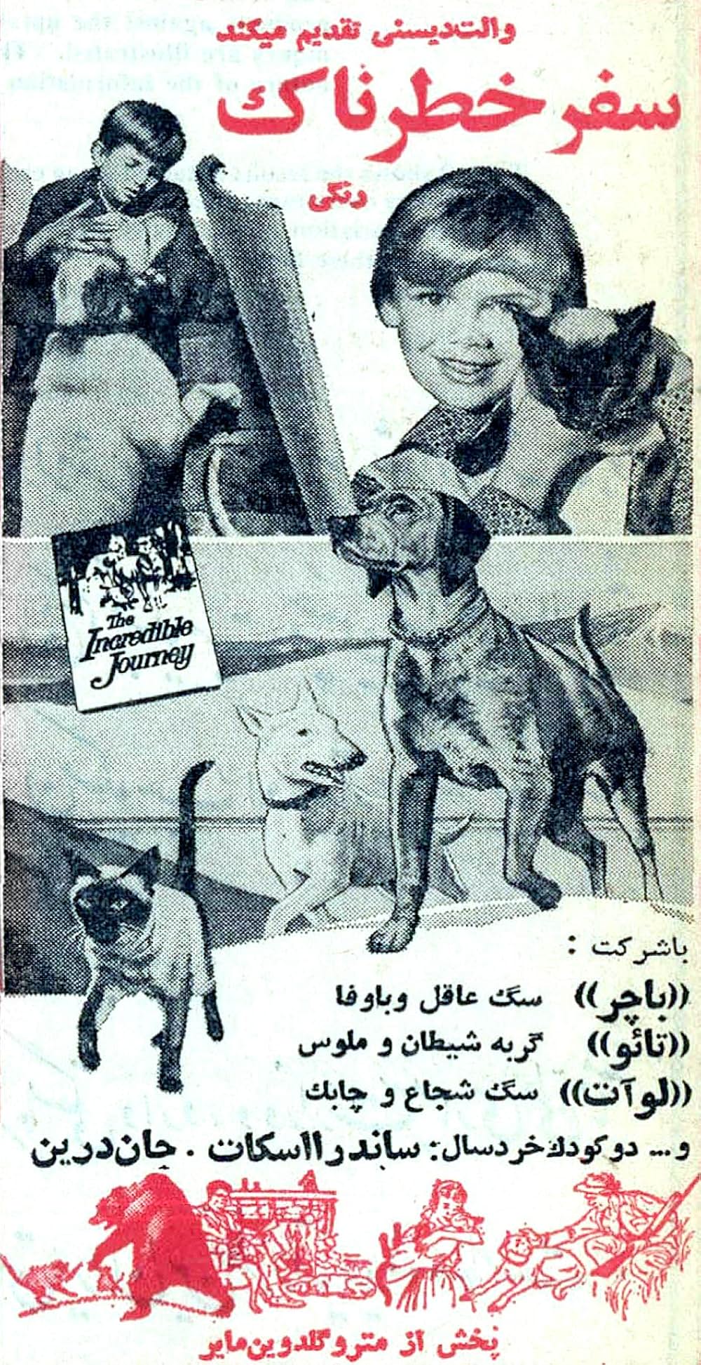 三匹荒野を行くの画像