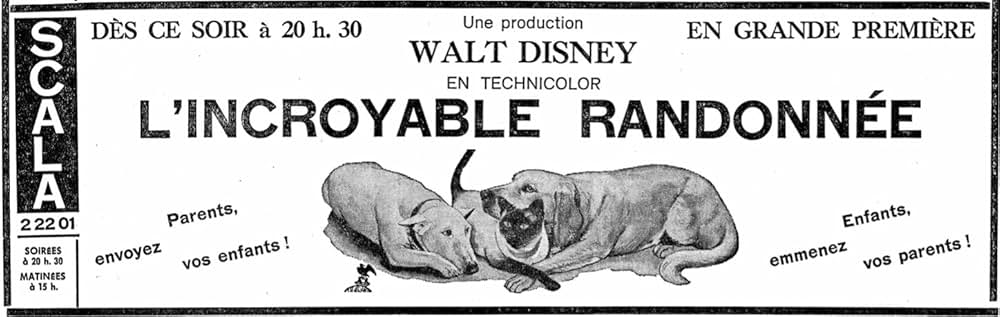 三匹荒野を行くの画像