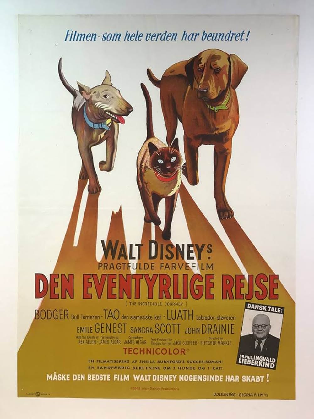 三匹荒野を行くの画像