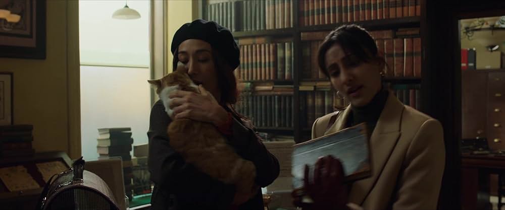 マーベラスの画像