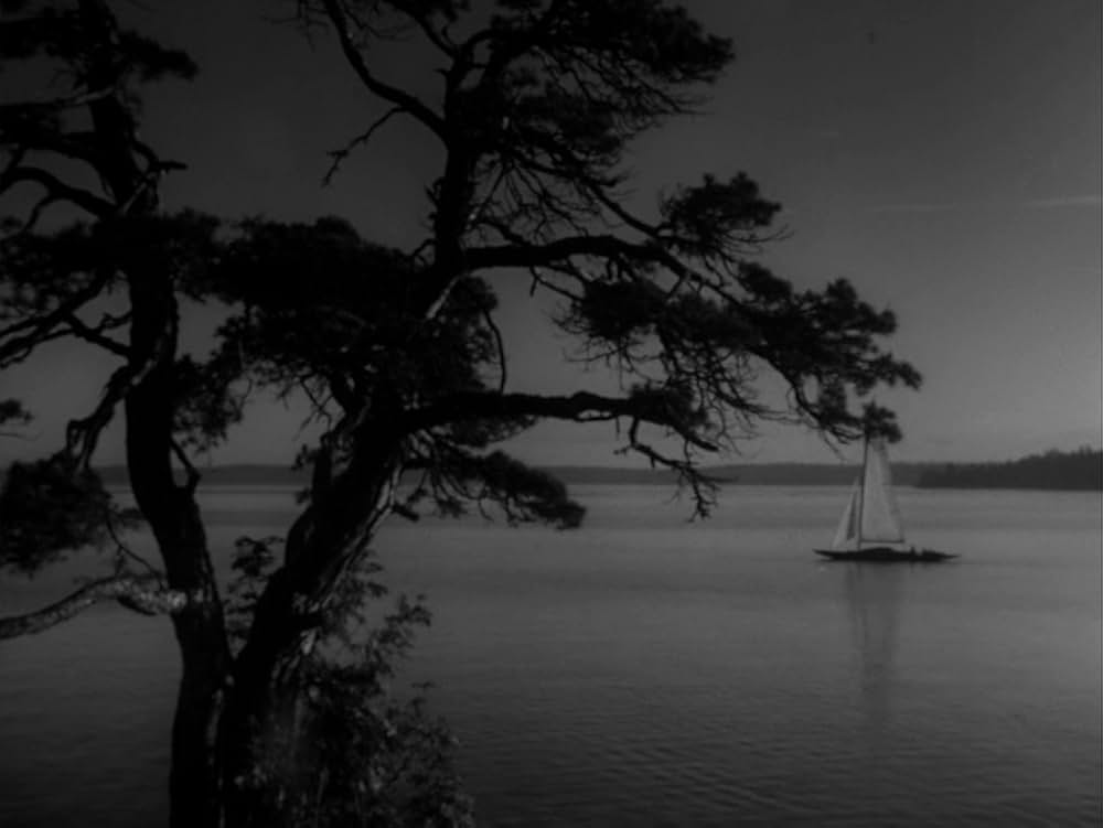 愛のレッスンの画像