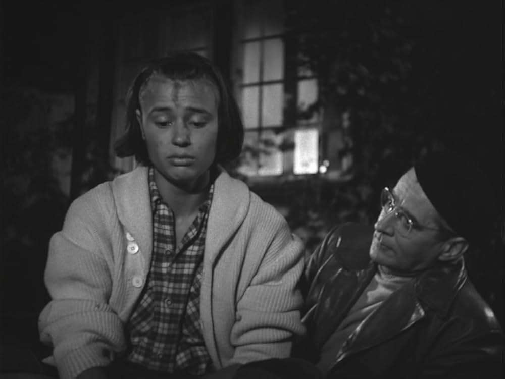 愛のレッスンの画像