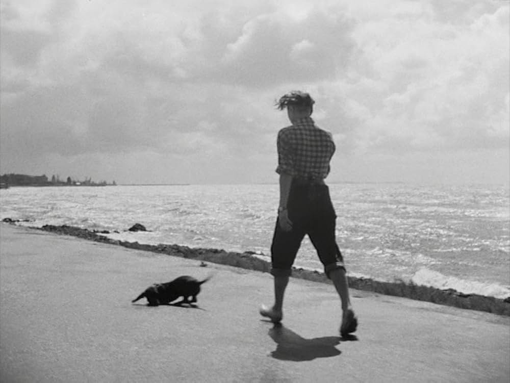 愛のレッスンの画像