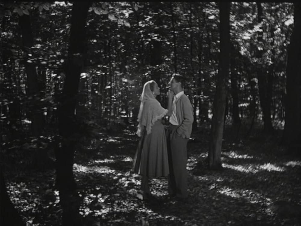 愛のレッスンの画像