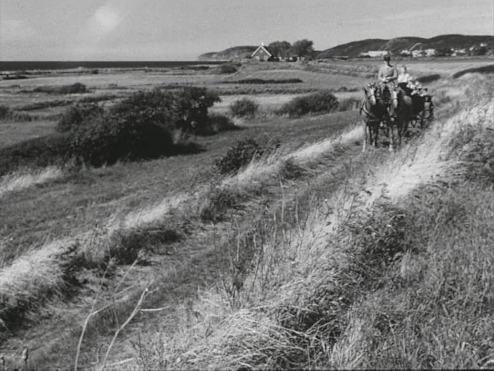 愛のレッスンの画像
