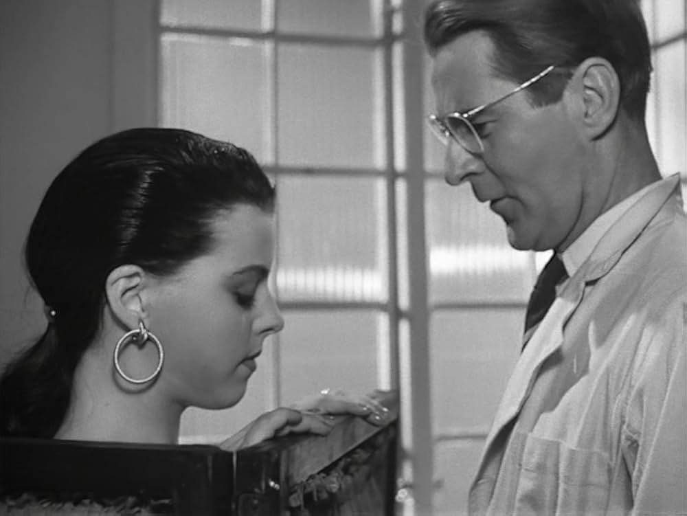 愛のレッスンの画像