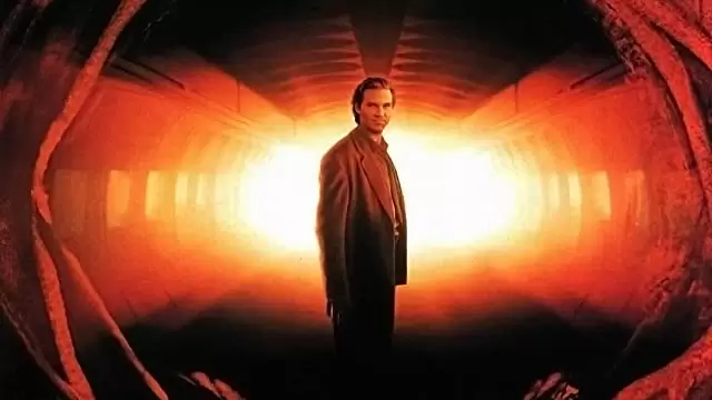 フィアレスの画像