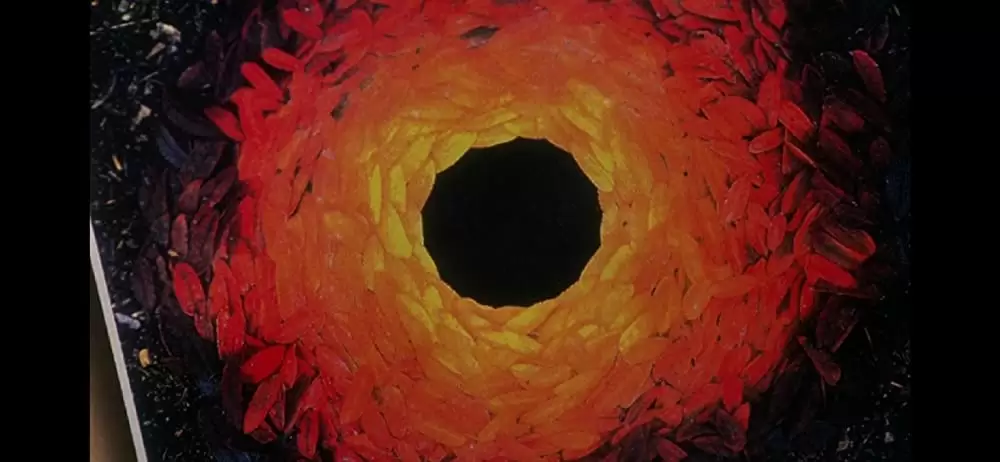 フィアレスの画像